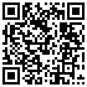 手机/微信访问网站